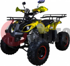  Avantis Hunter 8" new 125cc 4 (2018 )