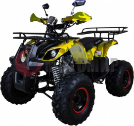  Avantis Hunter 8" new 125cc 4 (2018 )