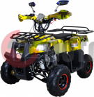  Avantis Hunter Junior 110cc 4 ( 17 !!!)