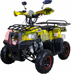  Avantis Hunter Junior 110cc 4 ( 17 !!!)