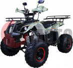  Avantis Hunter 8"M 125cc 4 ( 17 !!!)