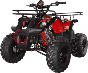  Avantis Hunter 8" Lite 125cc 4 (2018 )